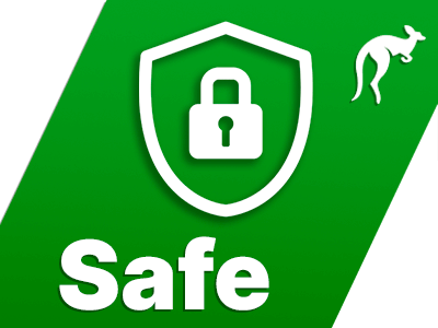 100% Safe And Secure icon