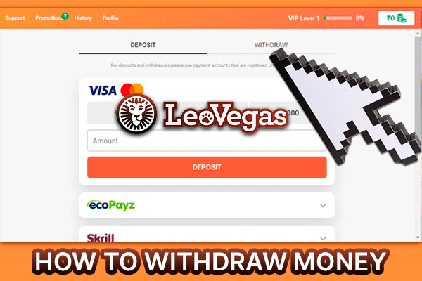 Withdrawal Form at LeoVegas Casino - how to get money from casino
