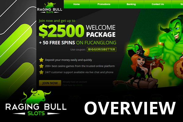 Raging Bull main page of site and Raging Bull logo