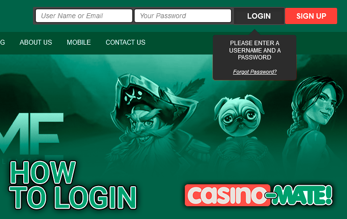 Casino-Mate login form - how to log in
