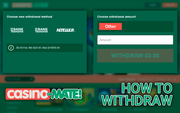 Withdraw form on the site of Casino-Mate