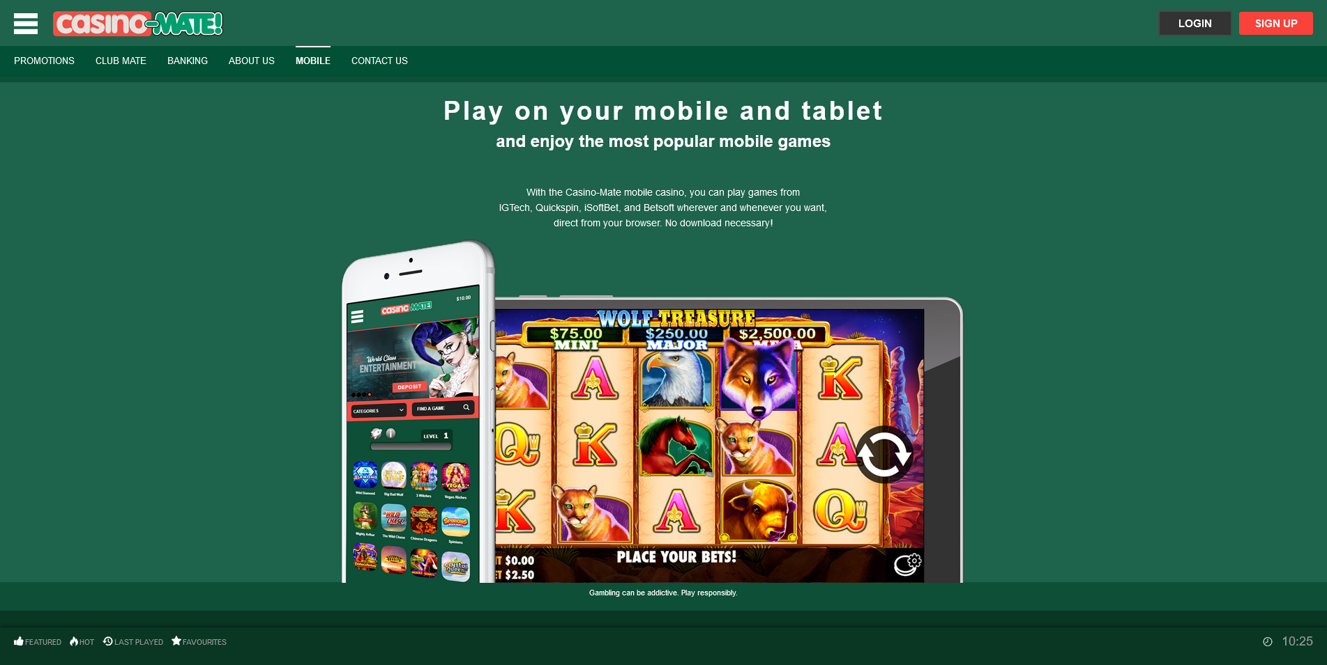 Screenshot of Mobile software page on Casino Mate