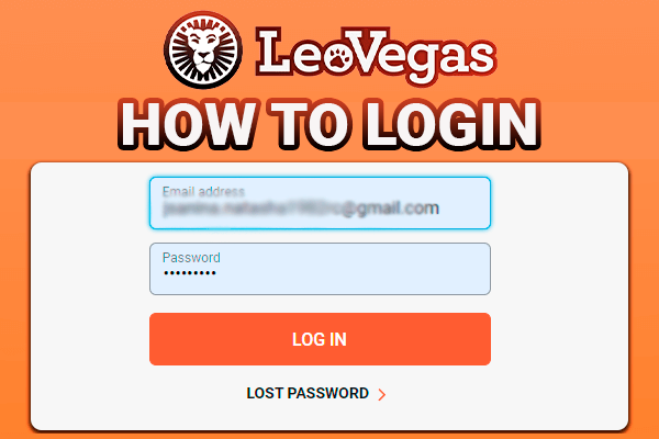 Login input fields from the Casino site - account authorization process