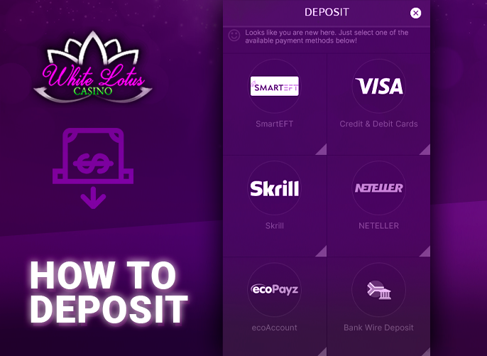 Choice of payment system for White Lotus Casino account replenishment