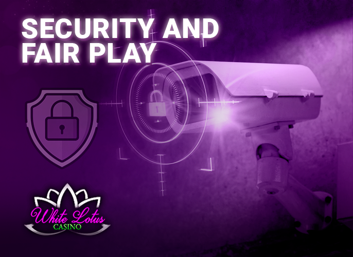 Surveillance Camera as a Security Guarantee for White Lotus Casino Site