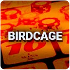 Birdcage Logo