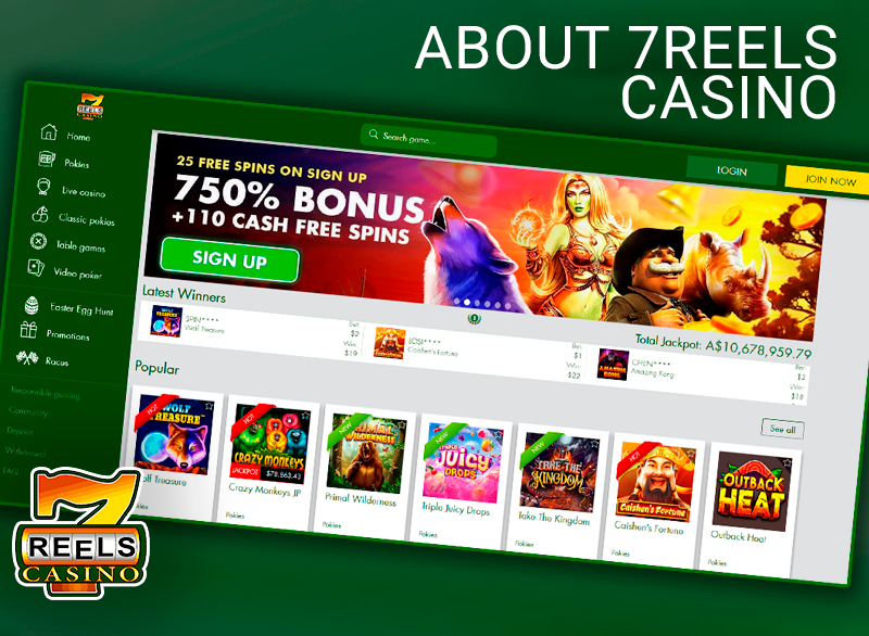 Introducing the 7Reels Casino site - what should know about the casino