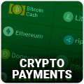 Crypto Payments Icon