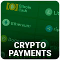 Crypto Payments Icon