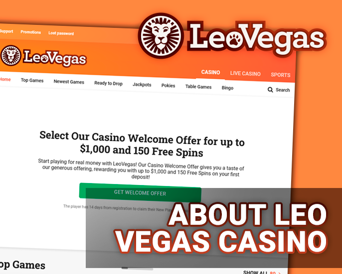 Introduction to the Leo Vegas Casino website - information about the project