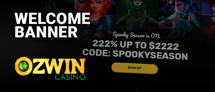 Welcome banner section on the Ozwin Casino website