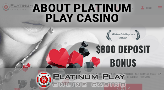 Introducing the casino - About Platinum Play Casino