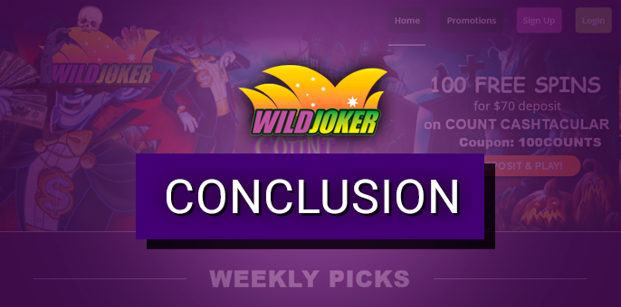 Wild Joker Casino project review results - conclusions about the casino