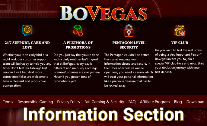 Detailed information on the Bo Vegas Casino website