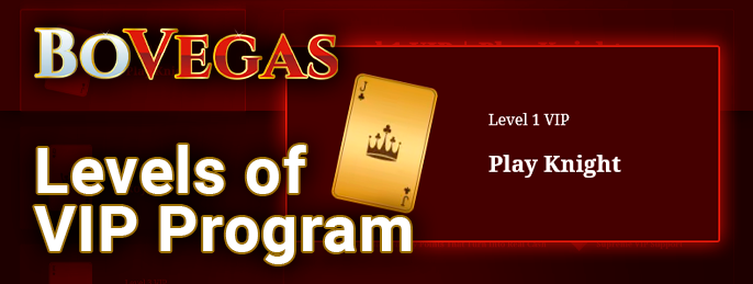 How the loyalty program levels are rated on the BoVegas Casino website