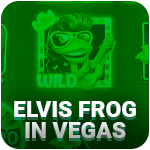 Elvis Frog in Vegas Icon