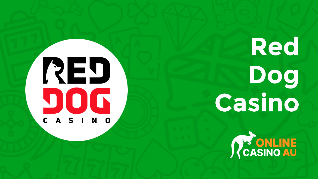 Red Dog Casino Video Preview