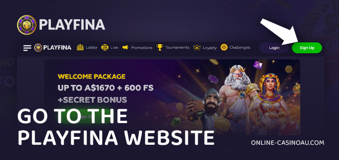 Go to the Playfina Casino website