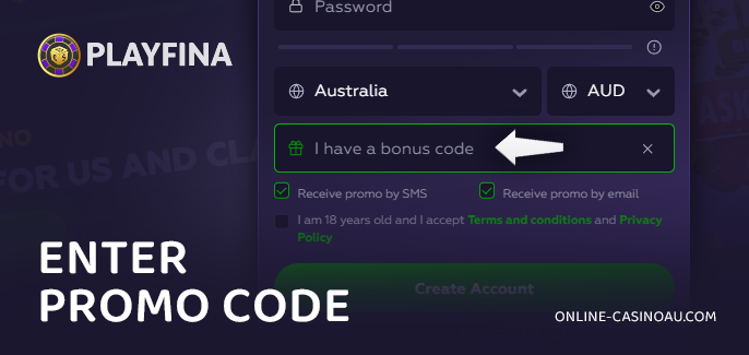 Enter promo code during the registration process at Playfina Casino