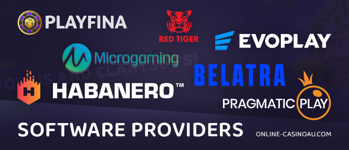 About Software providers on Playfina Casino website