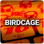 Birdcage