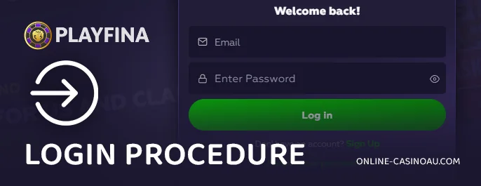 Playfina Casino Authorization Process - Instructions