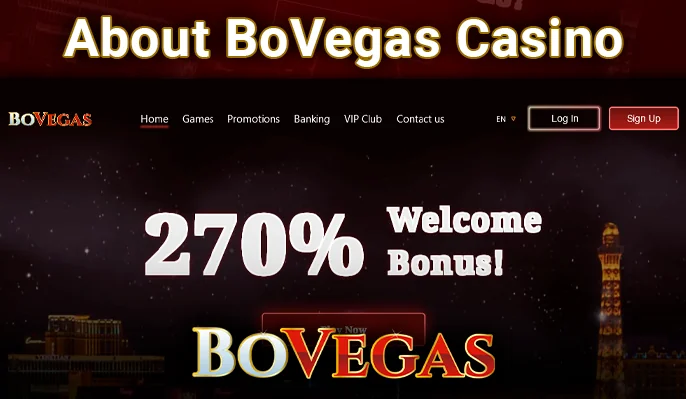 Real Money BoVegas Casino for Australians