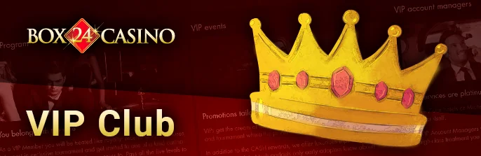 Loyalty program on the site of Box 24 Casino - what need to know