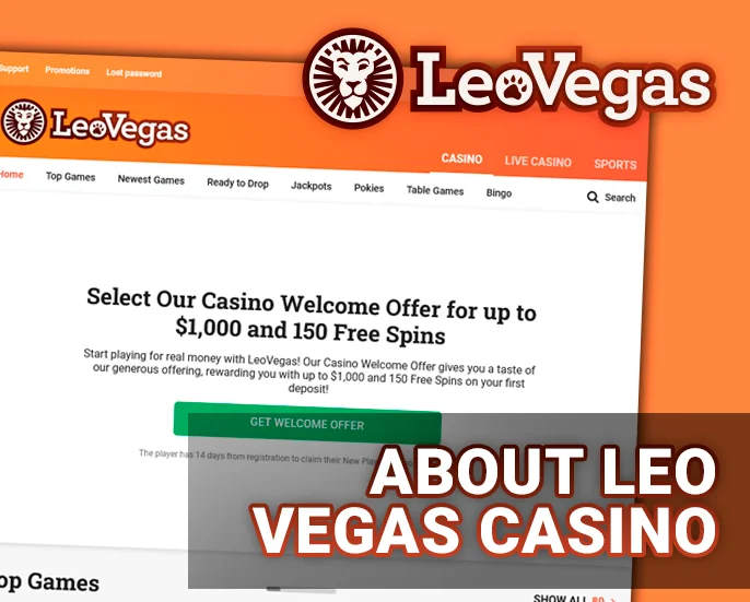 Real Money Leo Vegas Casino website - information about the project