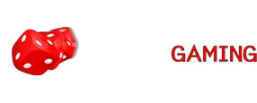 2 BY 2 Gaming