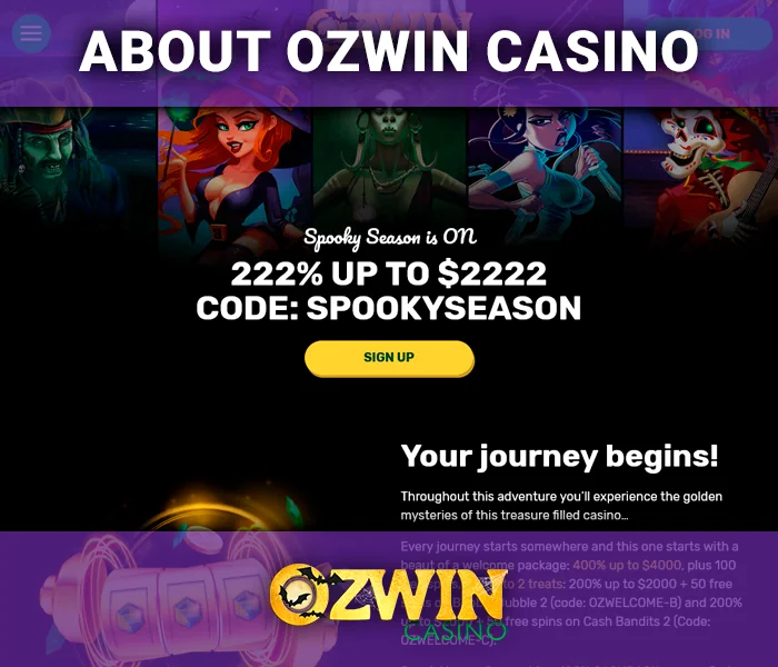 Introducing the Ozwin Casino website - information for new players