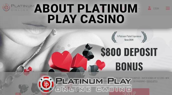 Introducing the Real Money Casino - About Platinum Play Casino