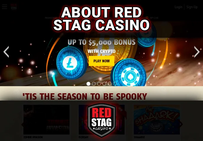 Red Stag Casino website introduction - about the casino and license