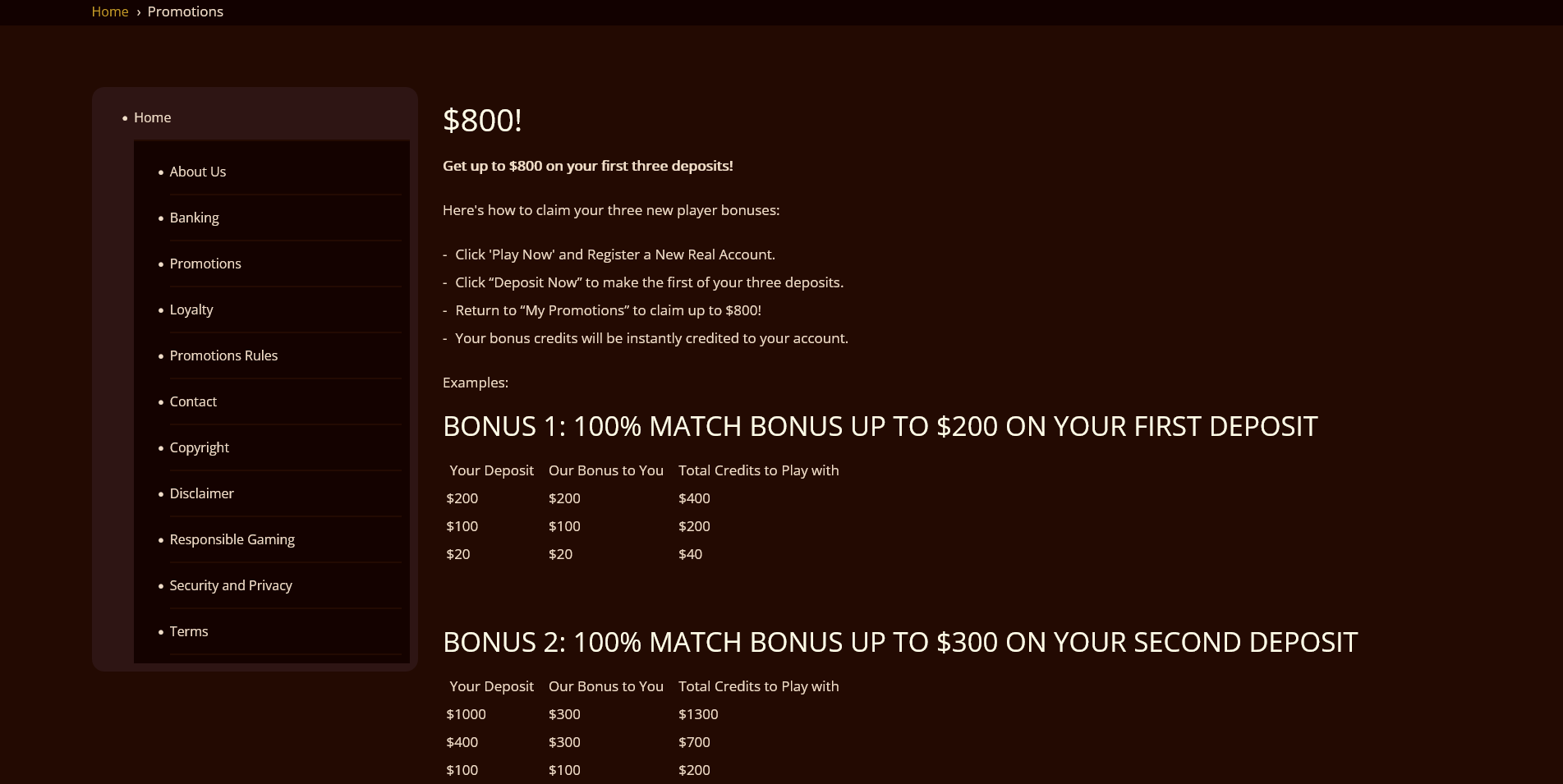 Screenshot of the River Belle Casino promotions and bonuses page