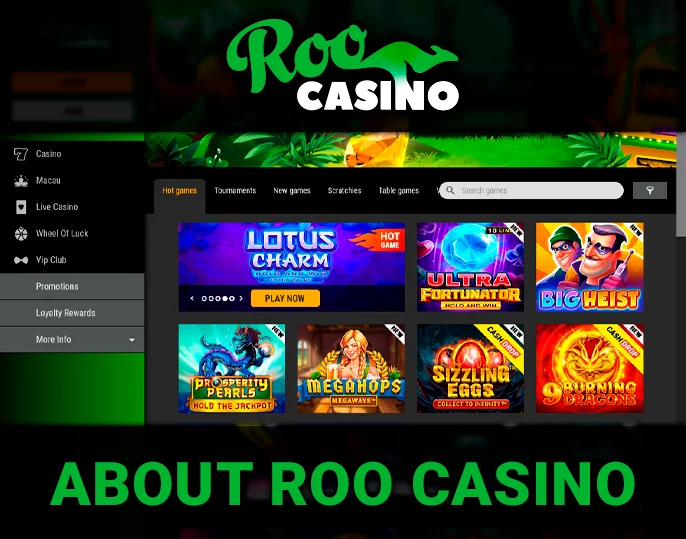 Real Money Roo Casino - license information