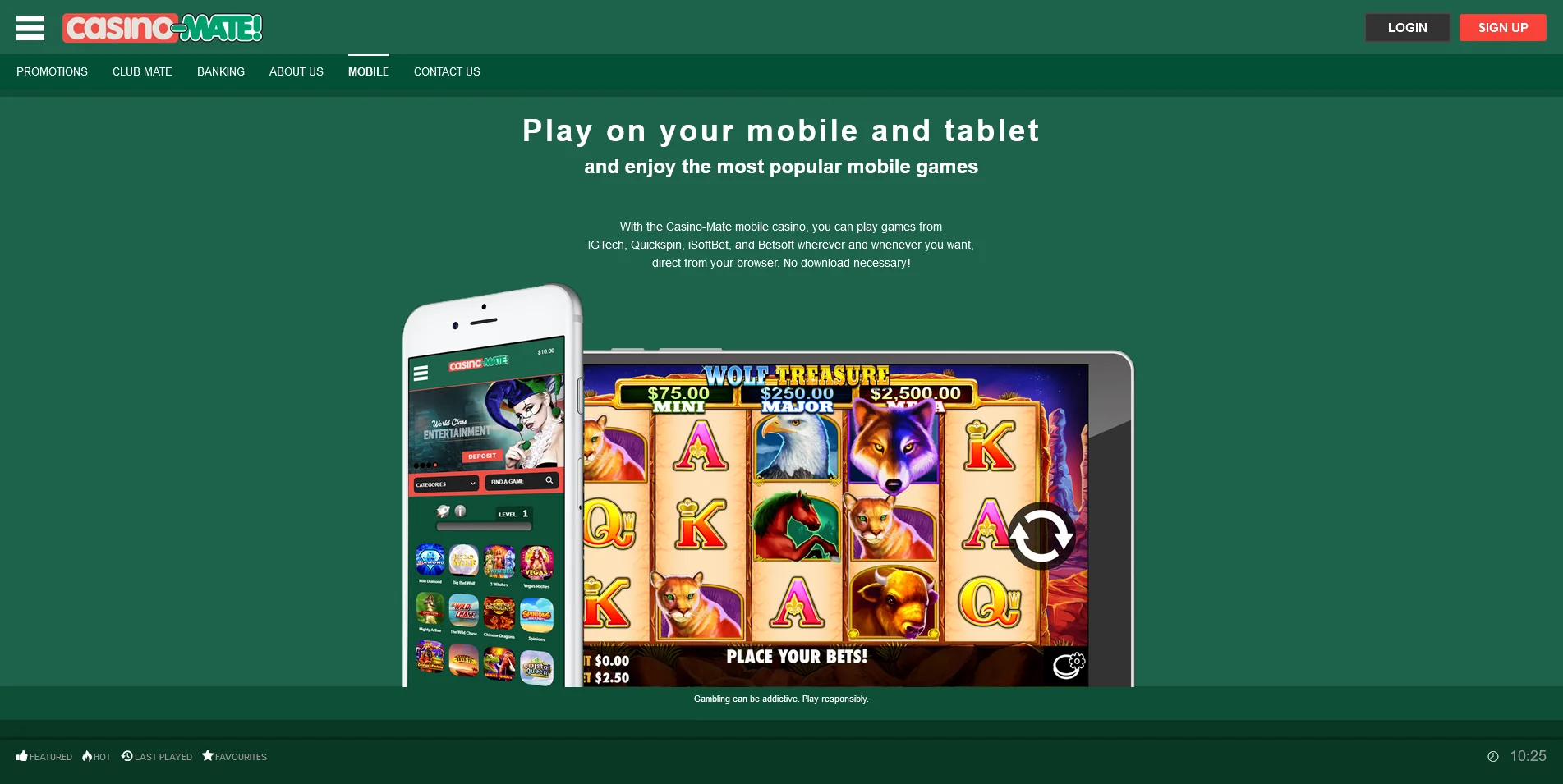 Screenshot of Mobile software page on Casino Mate