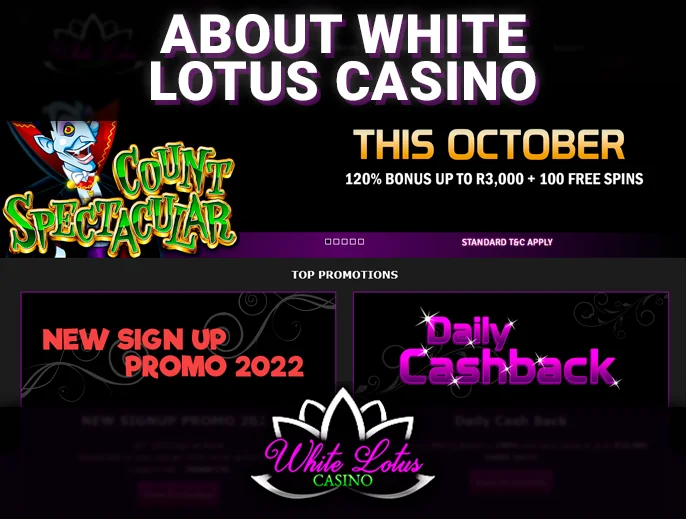 White Lotus Casino website in the background of the main page