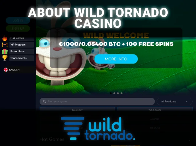 Wild Tornado Casino website introduction - about the casino and license