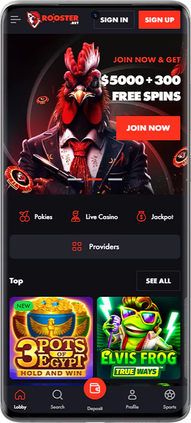 Rooster Bet online casino lobby screenshot