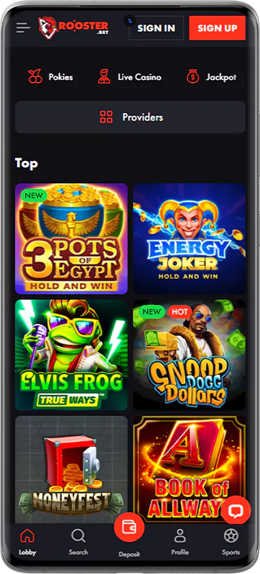 Screenshot of the online pokies section at Rooster Bet