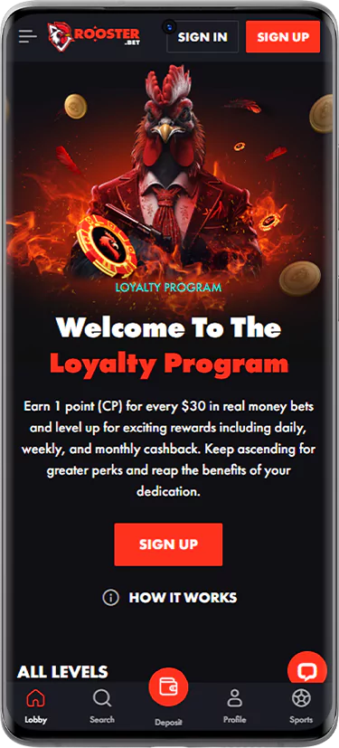 Screenshot of Rooster Bet loyalty program page