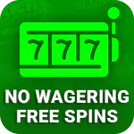 No Wagering Free Spins