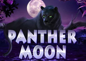 Panther Moon