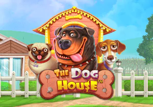 The Dog House®