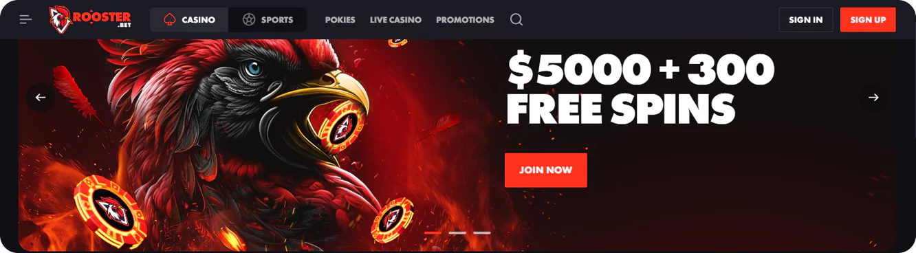 Information about Neosurf Rooster Bet casino 